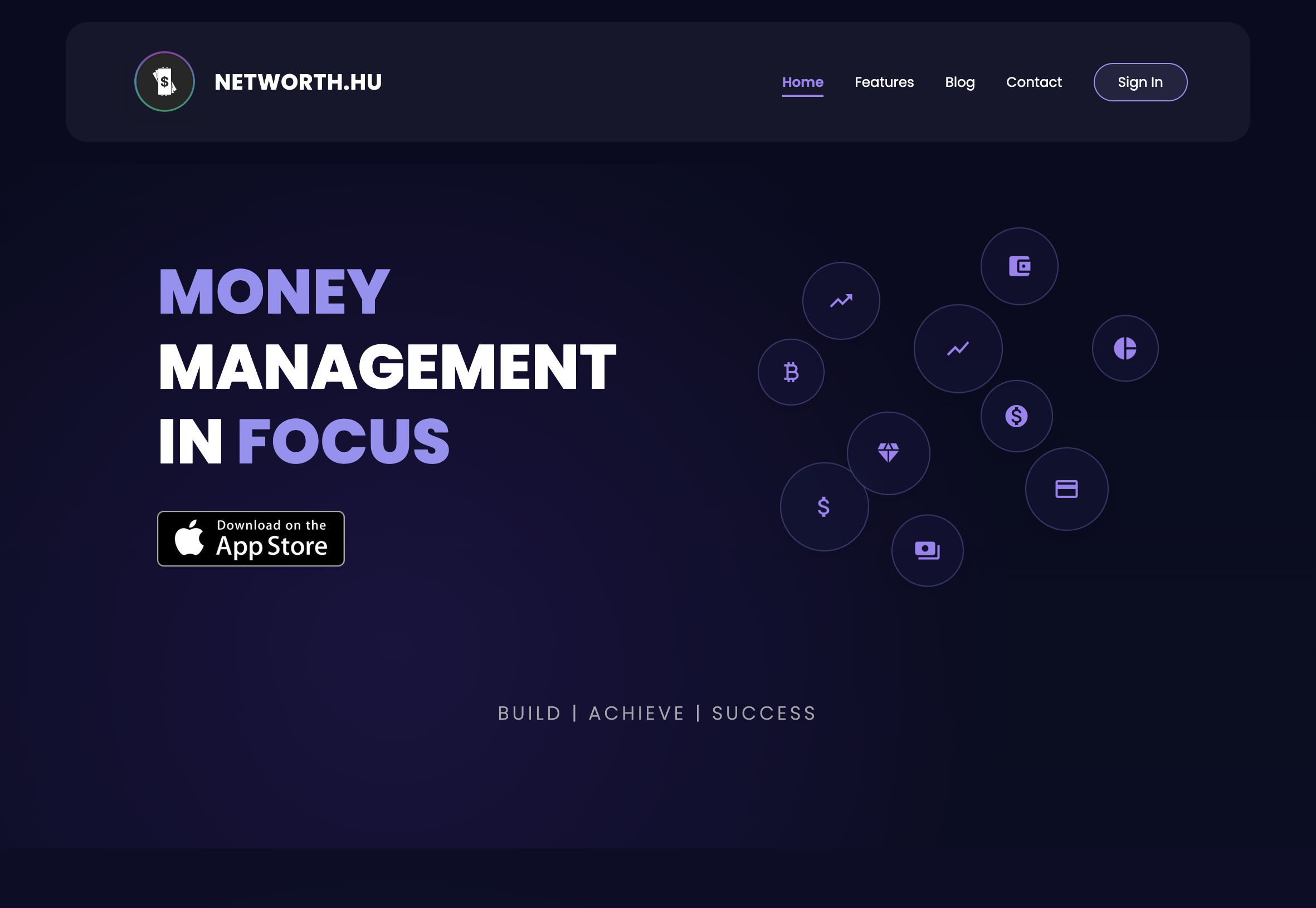 NetWorth website preview